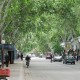 Наш турист  и до Огненной Земли доберётся