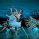 «Лебединое озеро»  в 3D-формате во всех кинотеатрах мира