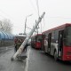 Красный автобус убил трёх пешеходов