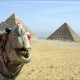 Возможен ли недорогой отдых в Египте?