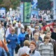 Рынок труда в Набережных Челнах стабилизируют при помощи 1 млрд рублей