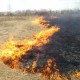 В Татарстане ввели особый противопожарный режим