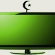 Татарское ТВ может стать площадкой для мусульманского федерального канала