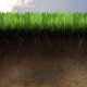 В Татарстане растет число кислых почв