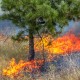 РТ встретит сезон пожаров в полной готовности