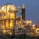 Группа компаний «Серконс» открыла новое направление для бизнеса — Устойчивое развитие